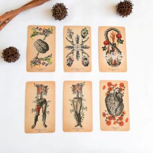 Tarot The Antique Anatomy - Casa Mannaz Tienda esotérica Chile