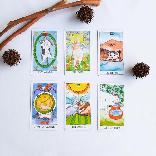 Tarot Cat - Imagen 2