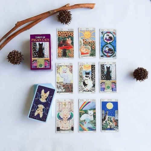 Tarot of Pagan Cats - Imagen 3